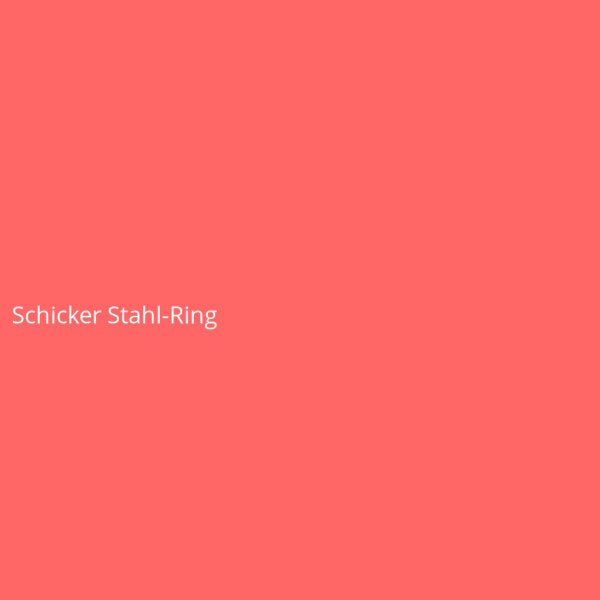 Schicker Stahl-Ring